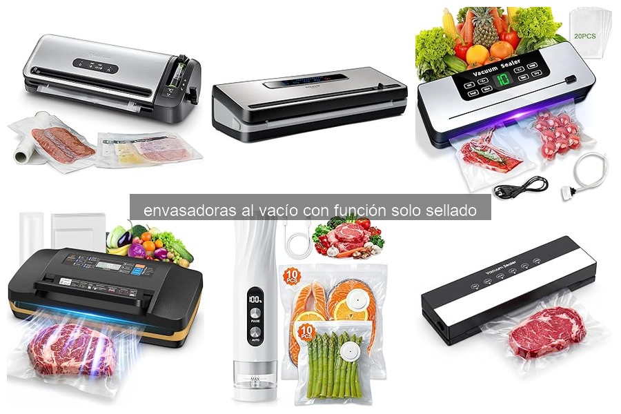 Cómo elegir la mejor envasadora al vacío solo sellado